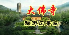 跳蛋抠逼中国浙江-新昌大佛寺旅游风景区
